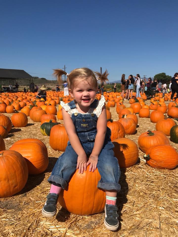 Pumpkin Patch